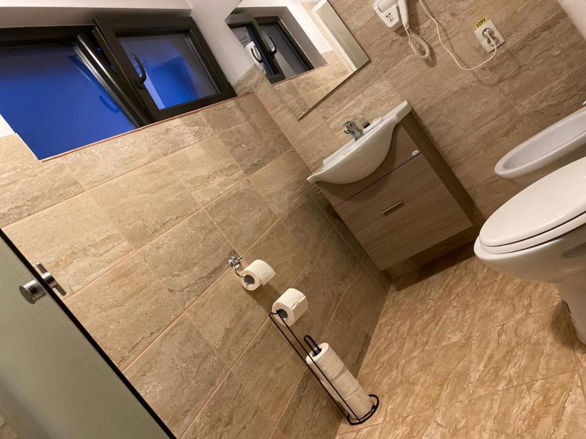 ויסו דה סוס Casa Mocanitei מראה חיצוני תמונה