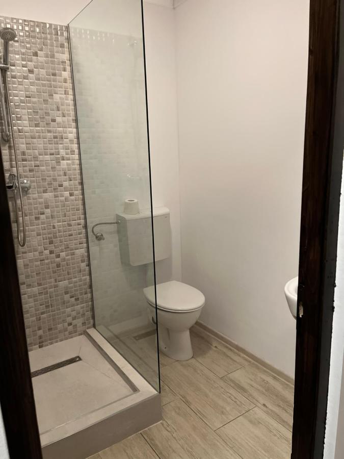 ויסו דה סוס Casa Mocanitei מראה חיצוני תמונה