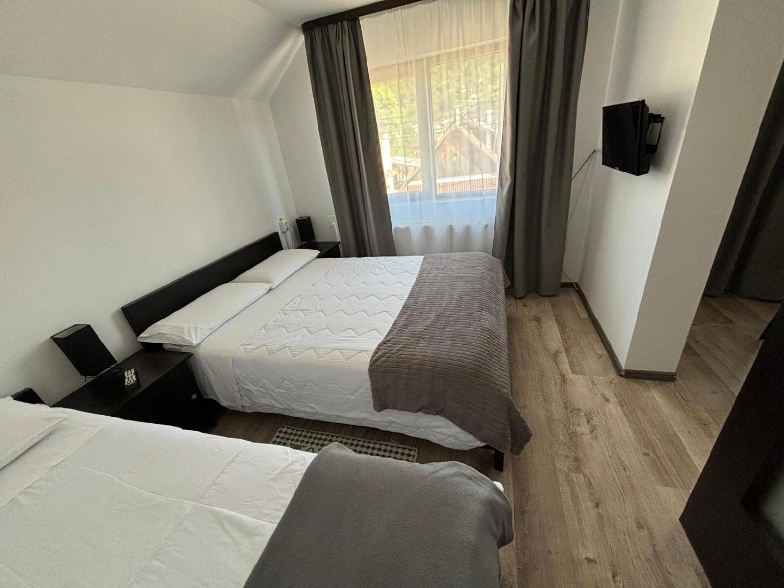 ויסו דה סוס Casa Mocanitei מראה חיצוני תמונה
