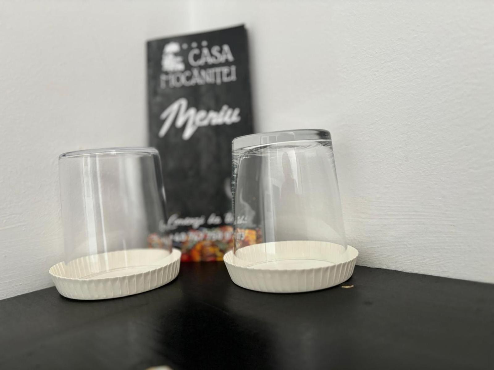 ויסו דה סוס Casa Mocanitei מראה חיצוני תמונה